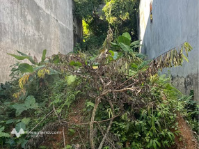 Đất Ngọc Xuân xây nhà an cư, đầu tư phát lộc, ô tô tận cửa