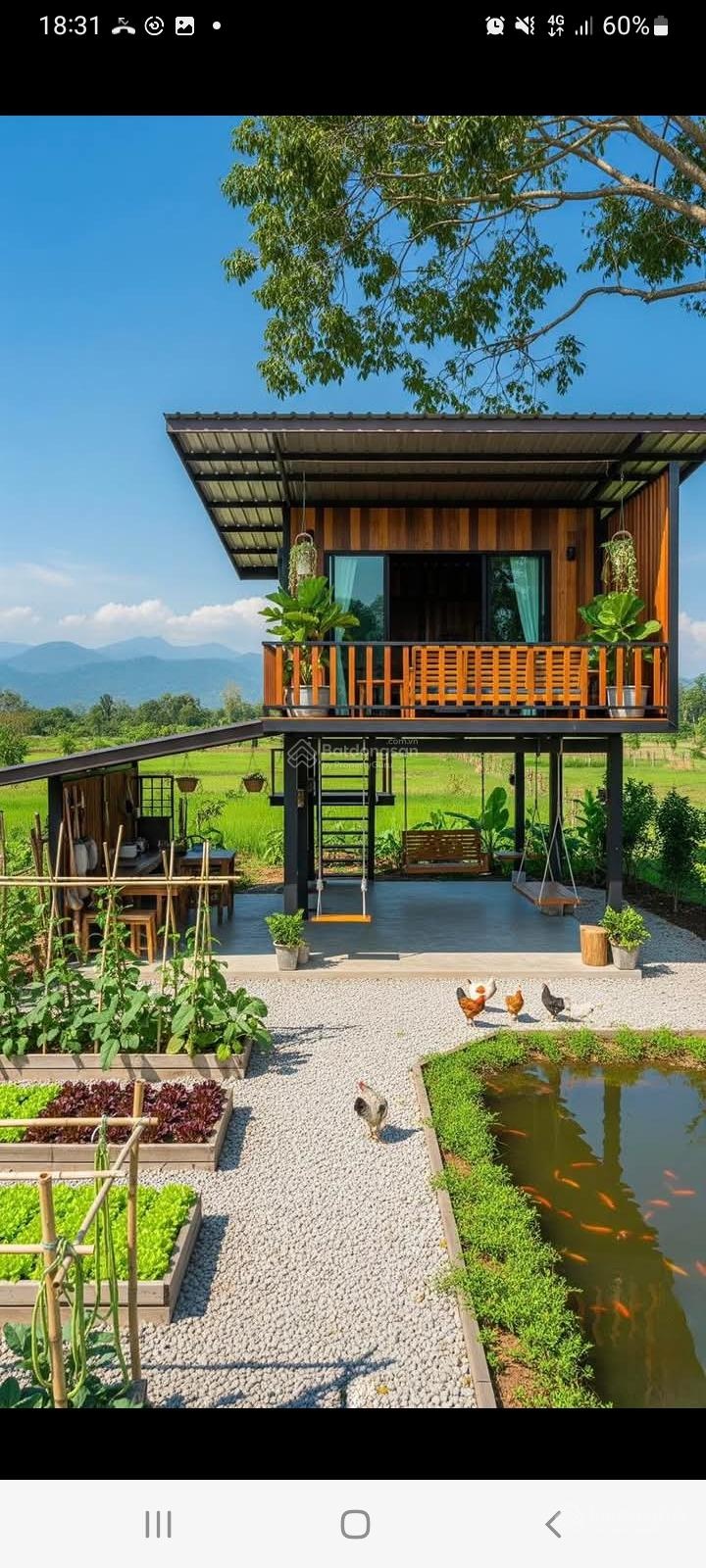 Bán đất ở đô thị phường Ninh Hòa 484.1m2 full thổ cư sổ hồng có sẵn. LH SĐT 0934833709