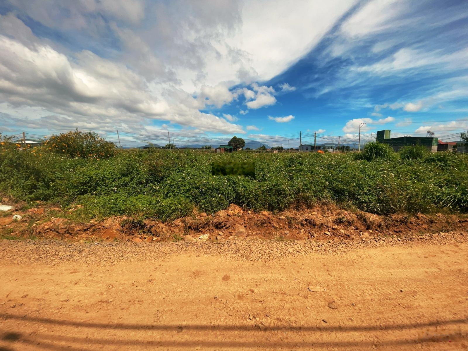 Bán 2 lô đất liền kề 5x28m 100m² thổ cư gần Quốc Lộ 20, chỉ 900 triệu/lô