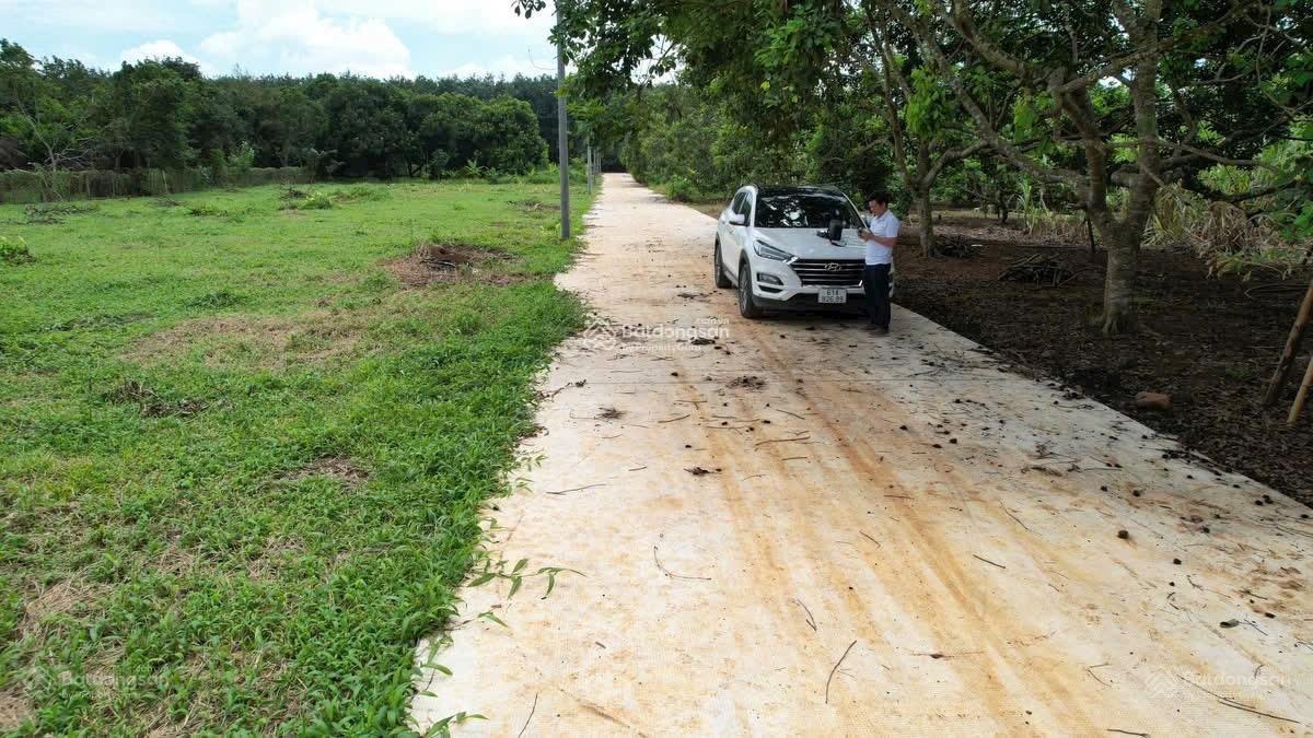 Lô đất thổ cư đường bê tông ô tô ra vào, ngay xã Dầu Giây giá 585 triệu sổ riêng sang tên ngay