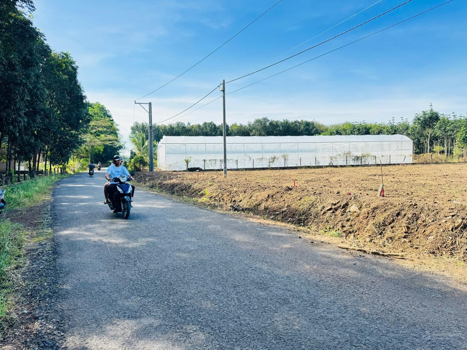 Gia đình cần tiền bán Gấp lô đất 1600m2 Có thổ cư sát chợ minh lập chơn thành