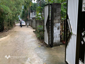 Chính chủ bán đất full thổ cư Khu Lục Đồi - TT Bo-Kim Bôi