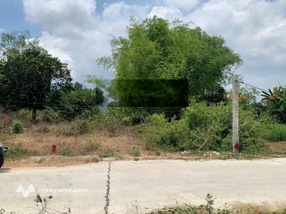 Bán đất Vị Trí Vàng KDC Tân Tiến, Phường Hoàng Tiến, TP Chí Linh Giá Tốt Nhất Khu!