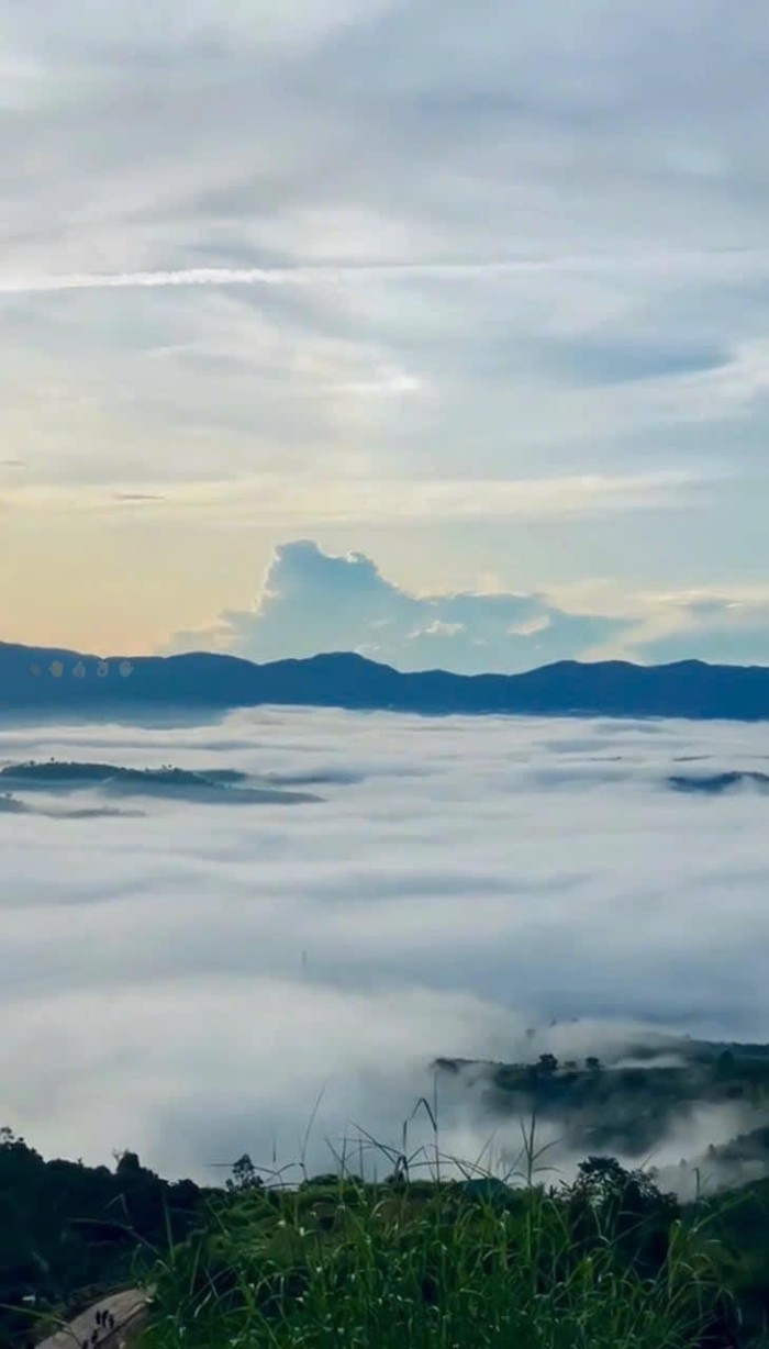 Đất đồi chè Lộc Thành, tọa độ săn mây, đầu tư sinh lời