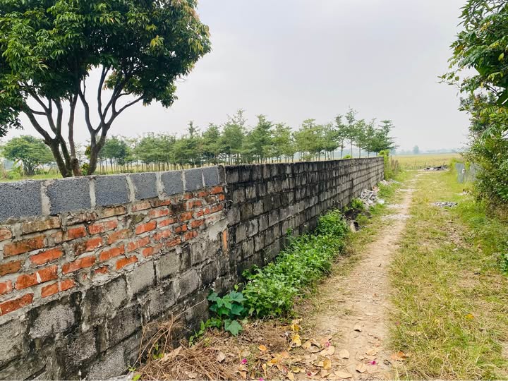 Bán đất ao 200m2 mặt tiền 14m tại Vũ Lạc, Thái Bình, đường ô tô tránh