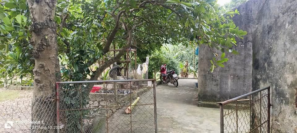 Trang Trại 2.1ha Thanh Hóa: 5.5 Tỷ, Mặt Tiền 100m, Vườn Ao Chuồng Đủ Cả!