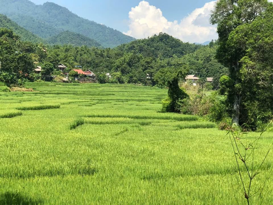 Bán lô đất 2 mặt đường siêu đẹp tại Mai Châu - Hòa Bình, 2 mặt đường 14m