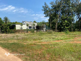 Bán đất Phú Riềng Đỏ, 285 triệu, 262m2, sổ hồng gần KCN phù hợp đầu tư tích sản