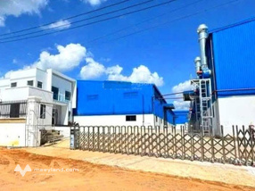 Cần bán 46.000m2 đất quy hoạch SKC tại Đất Cuốc TPHCM