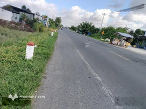 Bán nhanh mảnh đất tcln nằm ngay mặt tiền QL 80 xã Bình Thành, Lấp Vò, Đồng Tháp