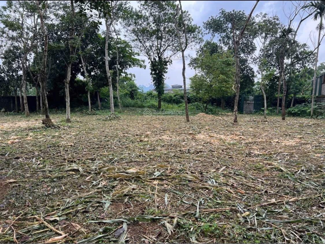 Bán lô đất siêu đẹp 1300m2 Cư Yên, Lương Sơn, Hoà Bình