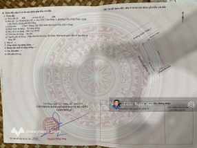 Lô góc trục xuân thiều 7 thông biển, siêu hiếm mà giá quá tốt