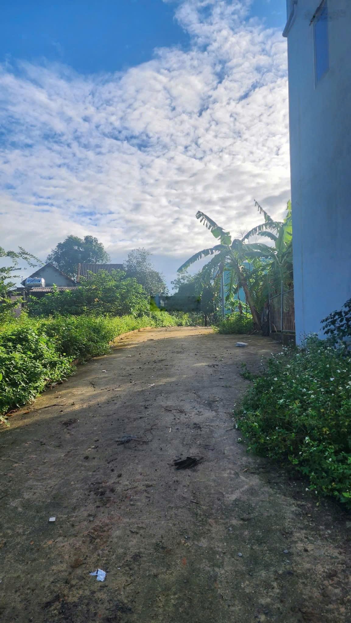 Chính chủ gửi bán lô đất Hòa Sơn 130m², đường bê tông 5m, sổ vuông đẹp, giá siêu hiếm chỉ 1tỷ450