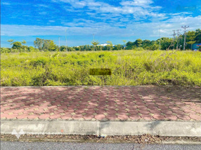 Thờ Nơ Đoàn Tùng chính chủ cần bán cặp liền kề B47, B48, hướng Nam giá cực rẻ