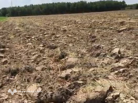 Đất vàng Tây Ninh 25.000m2 đất trống, chủ cần bán gấp