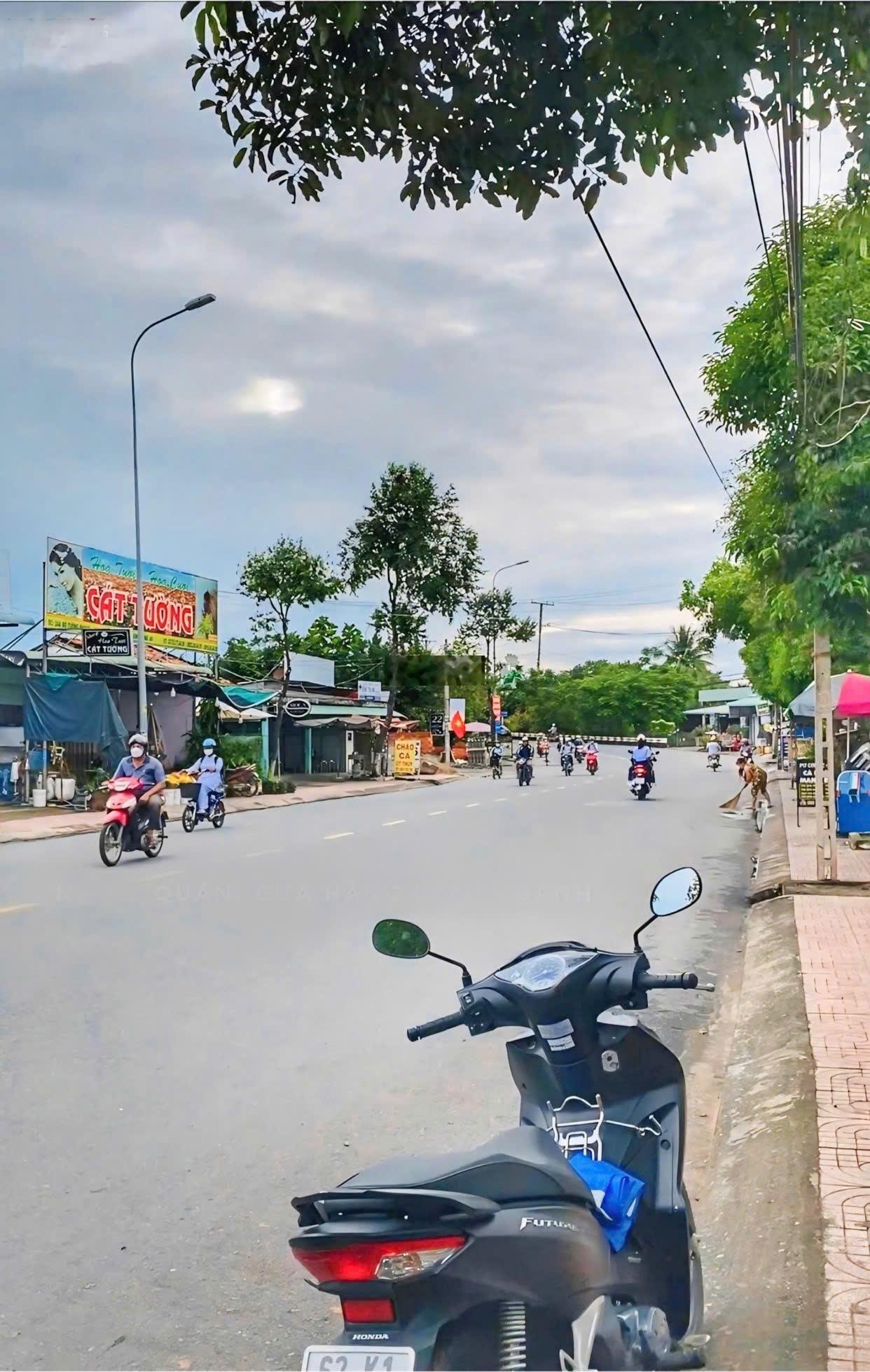 Bán đất chính chủ thị trấn Tầm Vu