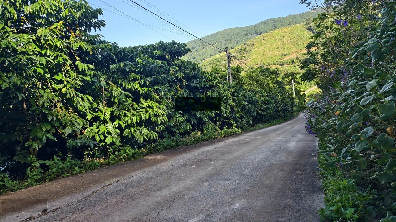 Bán đất tại Nam Ban Lam Hà 1395 m2 sẵn 200m2 thổ cư , giá F0 siêu LỜI