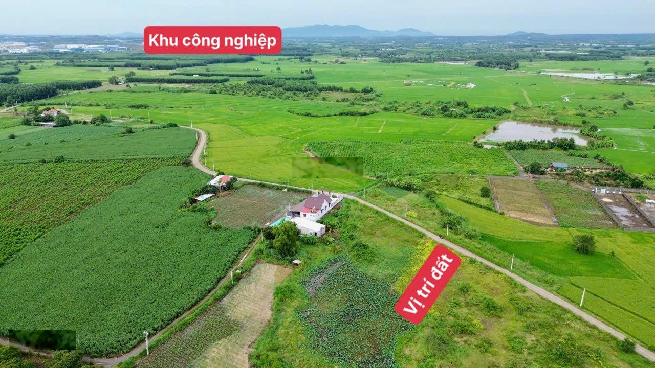 Chủ Gửi Bán Lô Đất Bám Mặt Tiền 25m Lô Đất Xây dựng Nhà Vườn Quá Đẹp Đất Thuộc -Xã Đất Đỏ- TPHC