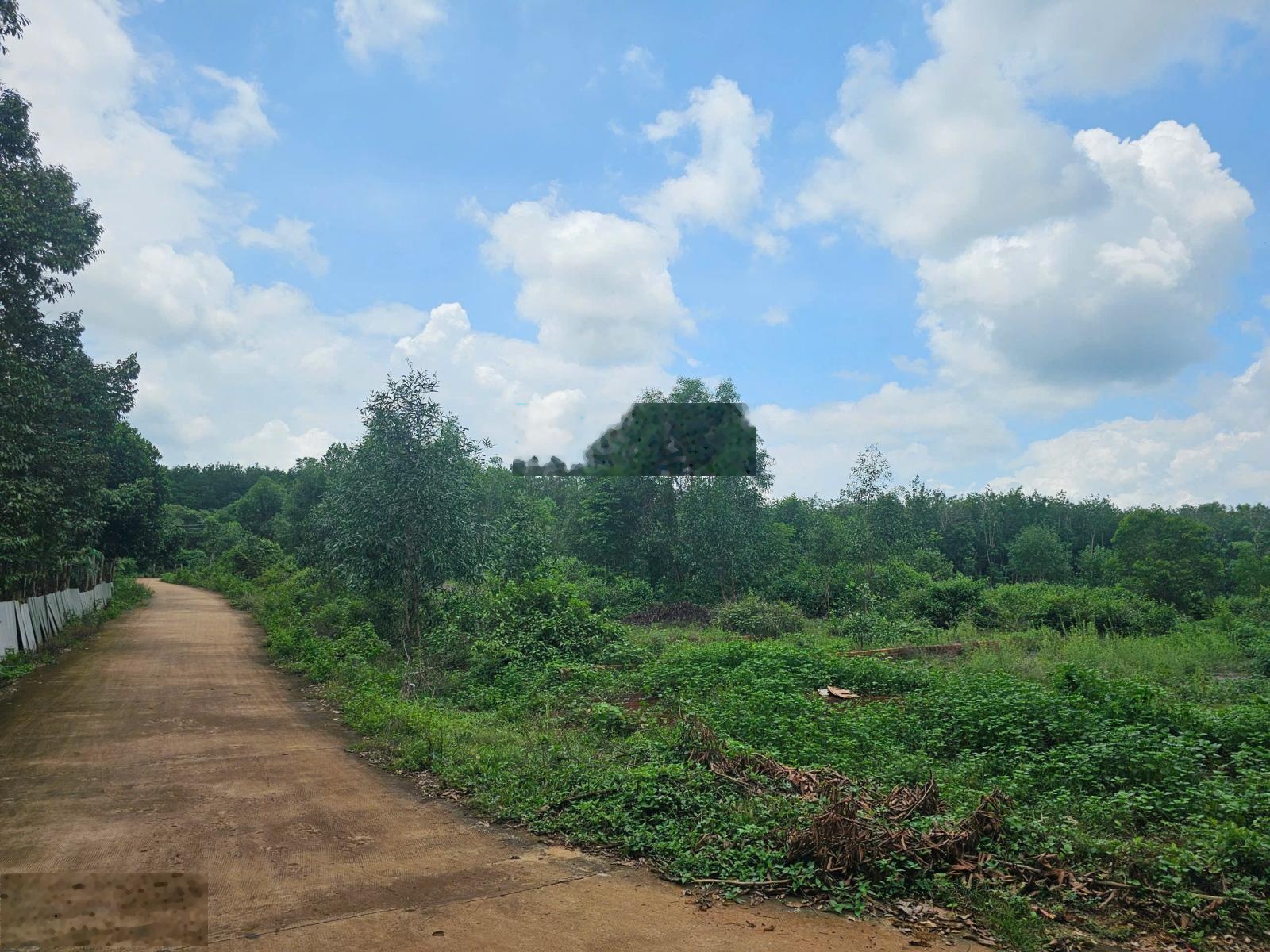 Kẹt tiền cần bán nhanh 5 lô đất đối diện KDC Đào Gia Viên