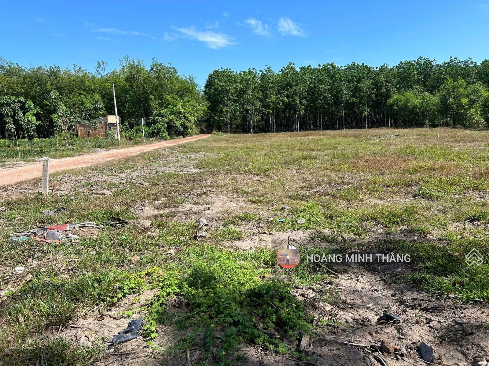 Đất để lâu cần việc bán lỗ 1 cặp 5x30 full thổ cư Bến Củi Tây Ninh