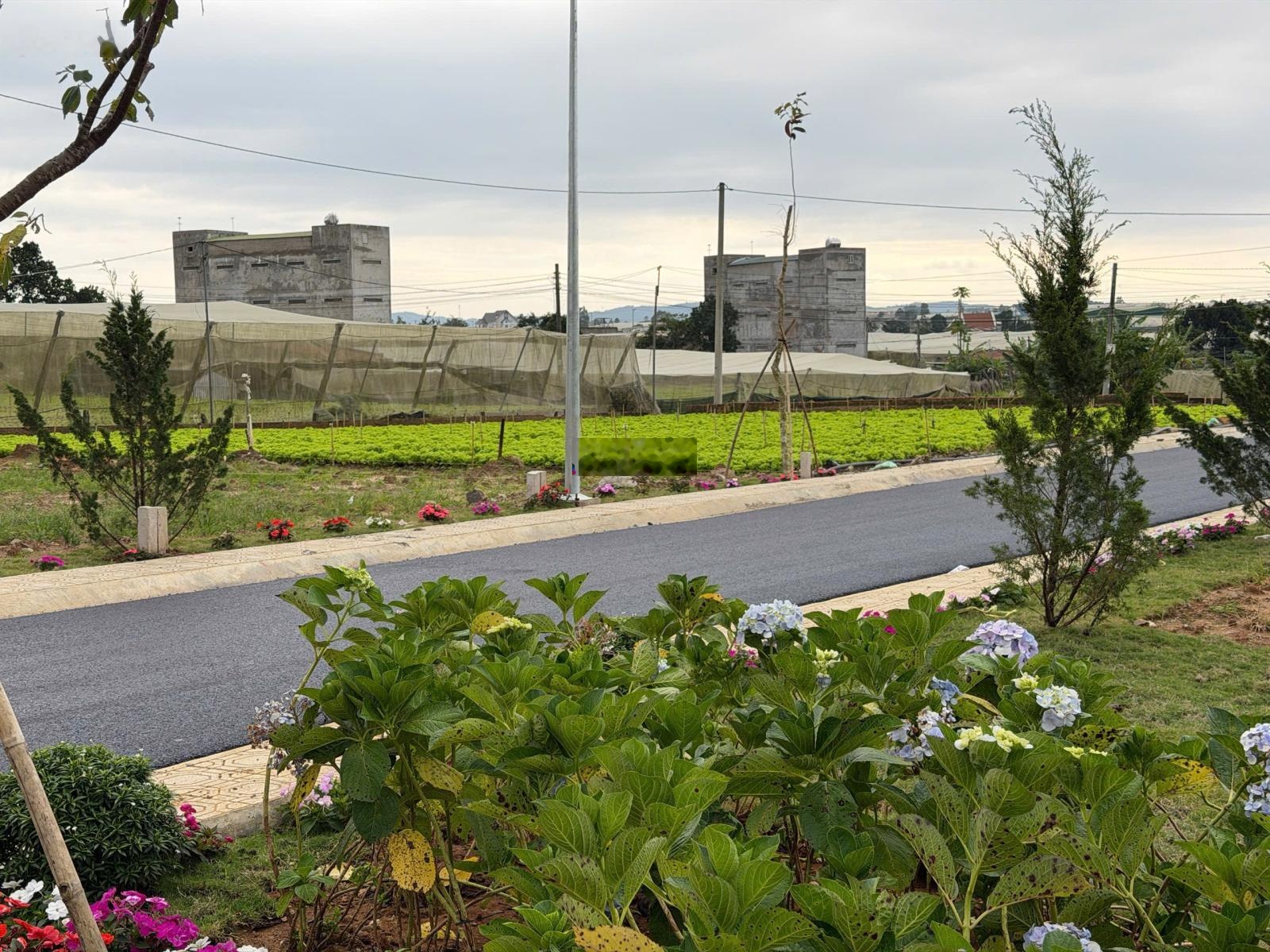 Đất đẹp thạnh mỹ đơn dương vị trí trung tâm sổ hồng riêng thổ cư sẵn