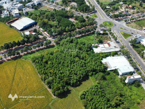 8.461,8m2 Đất 33m mặt tiền thuộc Long Tâm - Bà Rịa ( Phường Tam Long ) - Tp.Hồ Chí Minh.