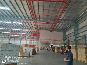 Cho thuê nhà máy/ kho xưởng - 3.500m² & 3.600m² (Tổng 7.100m²) - Khoái Châu, Hưng Yên