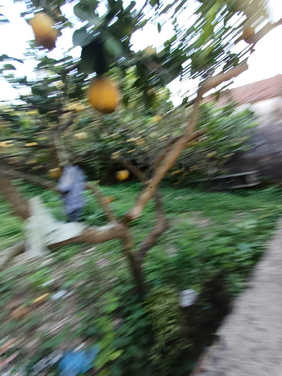 Chủ đất bán gấp nhà thường tín giá cực rẻ!