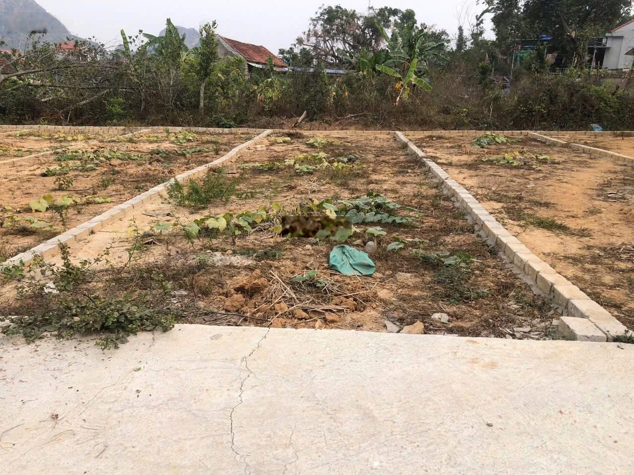 Chính chủ gửi bán lô đất thôn 8 liên Khê thủy nguyên Hải phòng Giá 4xx Dien tích:64m2 Không lỗi gì