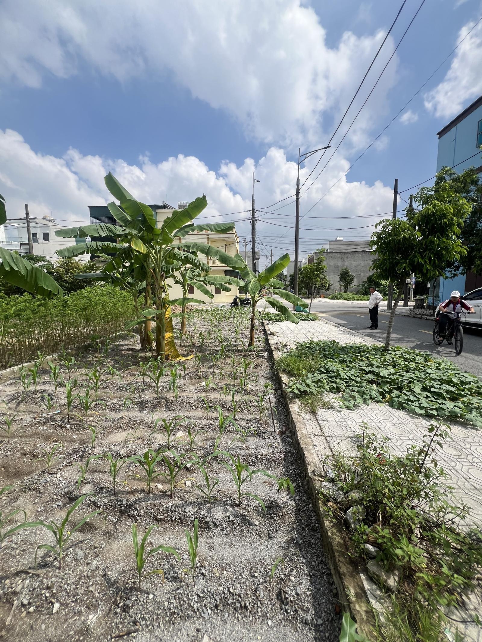 Phủ Lý đối diện 3 trường học rẻ 4,6 tỷ