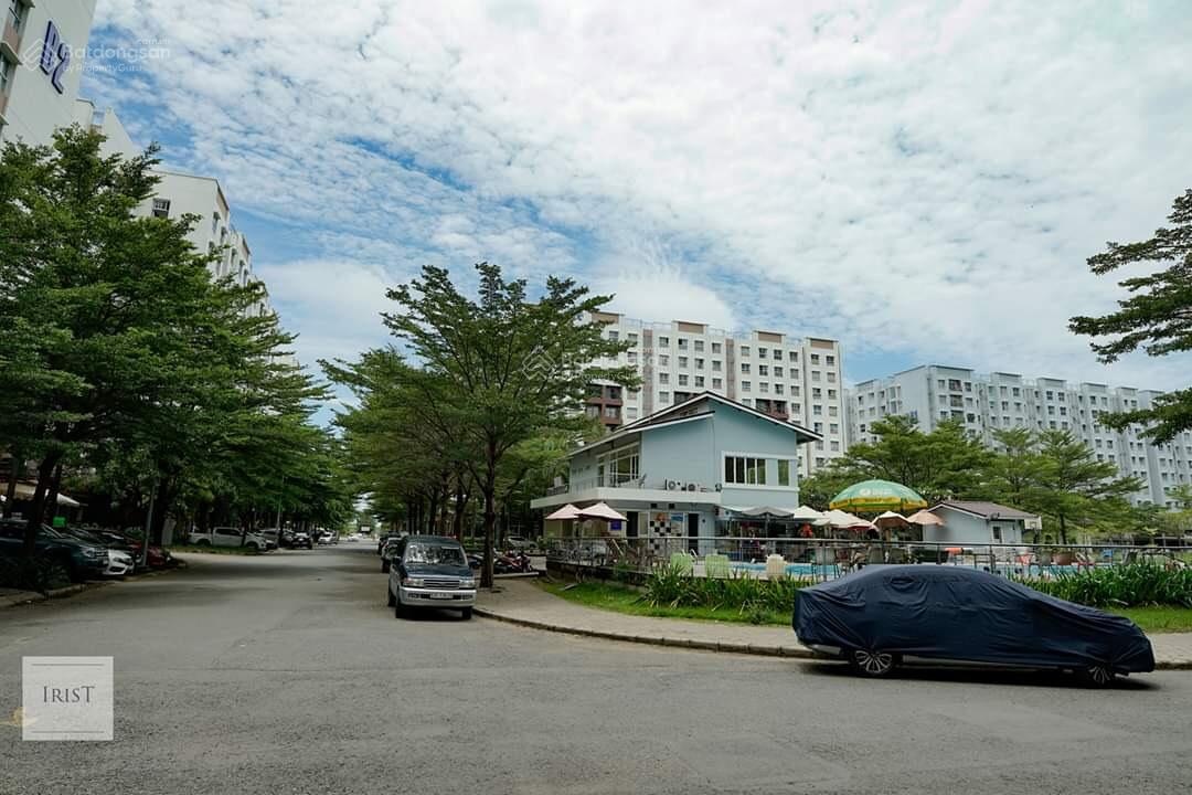 ảnh