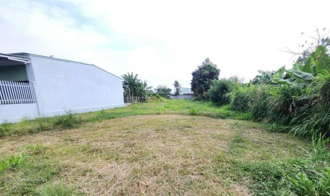 Bán đất Cây Trôm Mỹ Khánh 10x21m, SHR, giá chỉ 1 tỷ 300 triệu