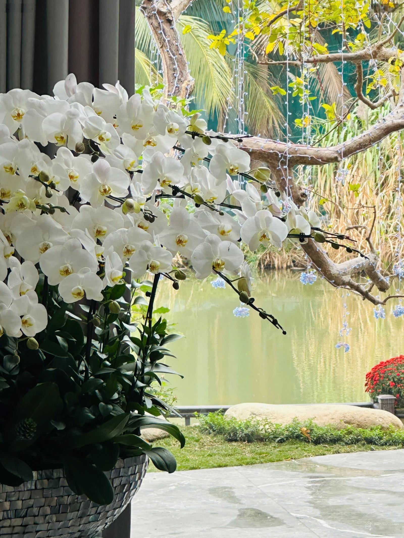 Bán biệt thự đảo Ecopark Grand 450m, tặng gói nội thất cao cấp 15 tỷ