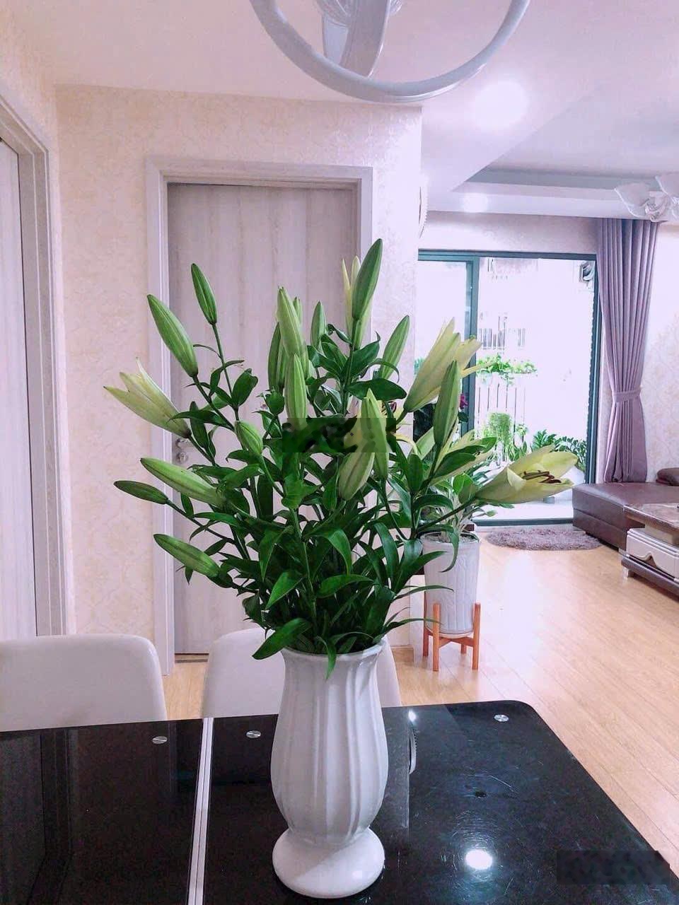 Chính chủ bán CC đẹp xuất sắc tại Hoàng Quốc Việt, 11,9 tỷ, 103m2, 3PN, 2WC, view thoáng, Full NT