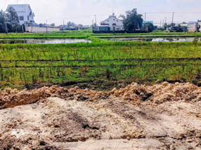 Bán đất nền sổ hồng riêng, 960 triệu/lô, Đức Hòa, Long An