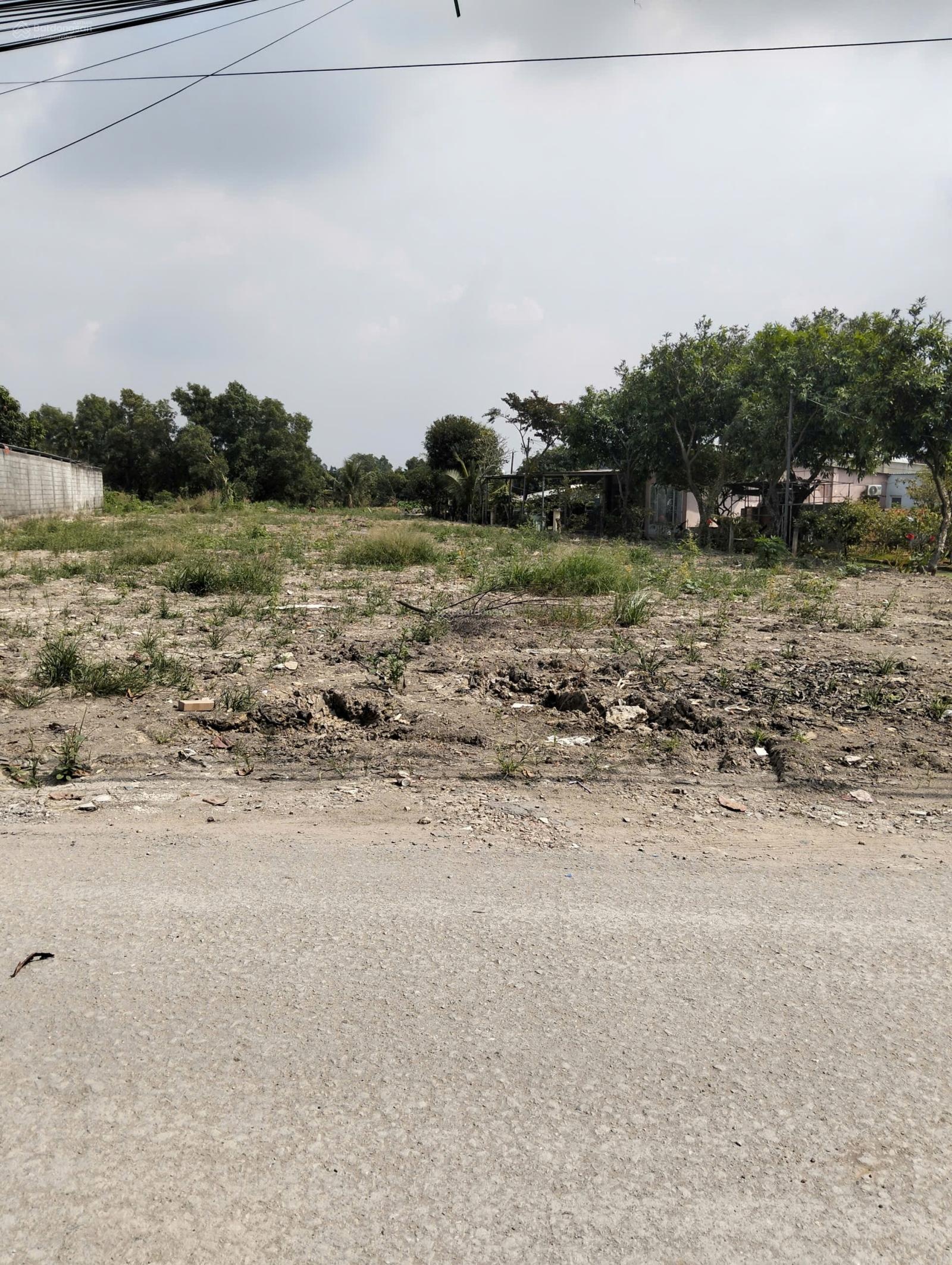 Bán đất sổ hồng riêng mặt tiền đường 181 xã Bình Mỹ, Củ Chi. Diện tích 1456 mét vuông