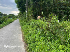 CC bán lô đất đường 22, kế Vinhomes, chỉ 4 tỷ 6/65m2, SHR cc ngay