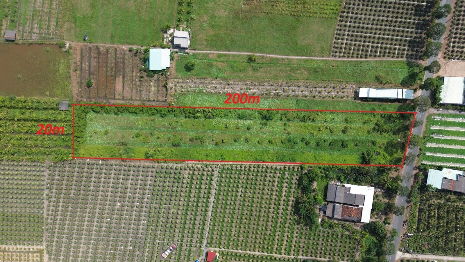 Bán 4300m2 đất lúa mặt tiền Nguyễn Thông Long An mặt tiền 20m quy hoạch thổ cư, giá 4.5 tỷ