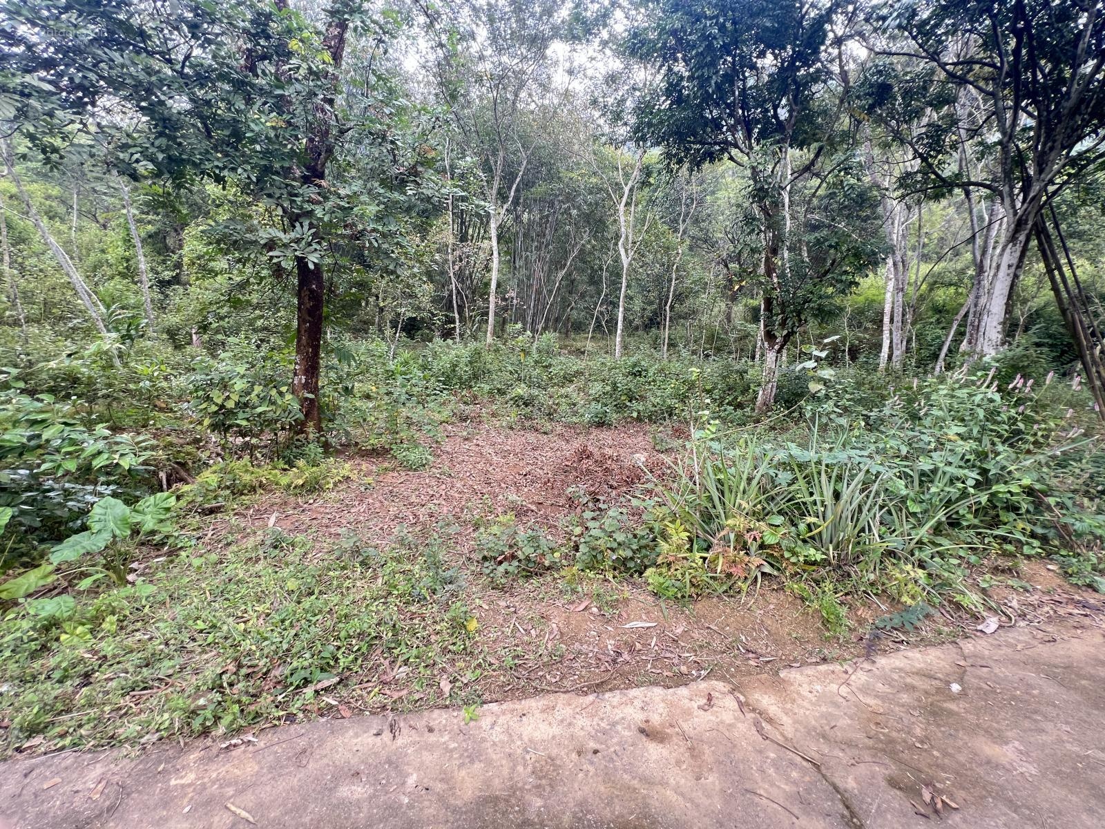 Bán Đất tại Xã Mai Hạ, Mai Châu, Hòa Bình, giá thỏa thuận, 2700m2 có 420m thổ cư ,còn lại đất vườn.