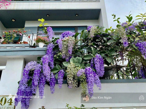 MT Khuê Mỹ Đông vị trí đẹp - 200m2 - giá 35 tỷ (TL)