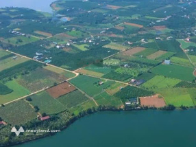 Tôi có miếng đất không dùng đến bán rẻ hơn gần nửa giá lấy tiền mua nhà cho con học trường Quốc tế