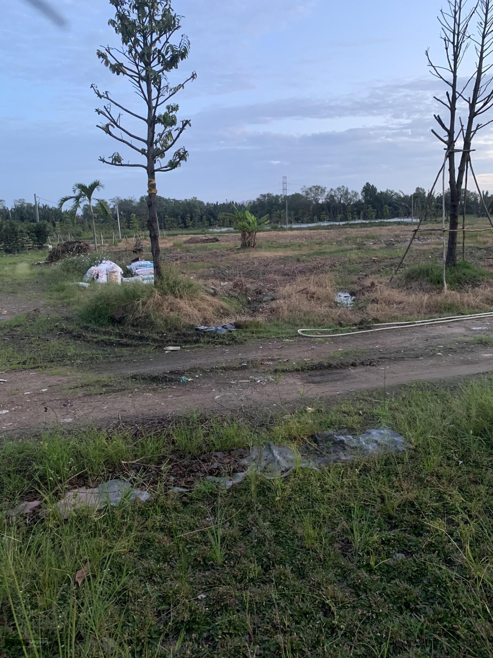 Bán rẻ diện tích lớn đất 3 mặt tiền T11, huyện Bình Chánh kế bên chợ Bình Điền