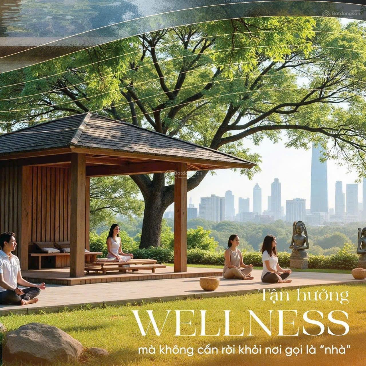 Bán CC Alluvia City, Văn Giang, Hưng Yên, 65 triệu/m2, 60m2