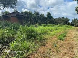 Lô đất nông nghiệp phù hợp nghỉ dưỡng tại Đăk Nia