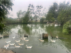 Tôi chính chủ cần bán lô đất trang trại. Cấn Hữu, Quốc Oai, Hà Nội. 3087m2 săn 200m2 nhà ở,vườn cây