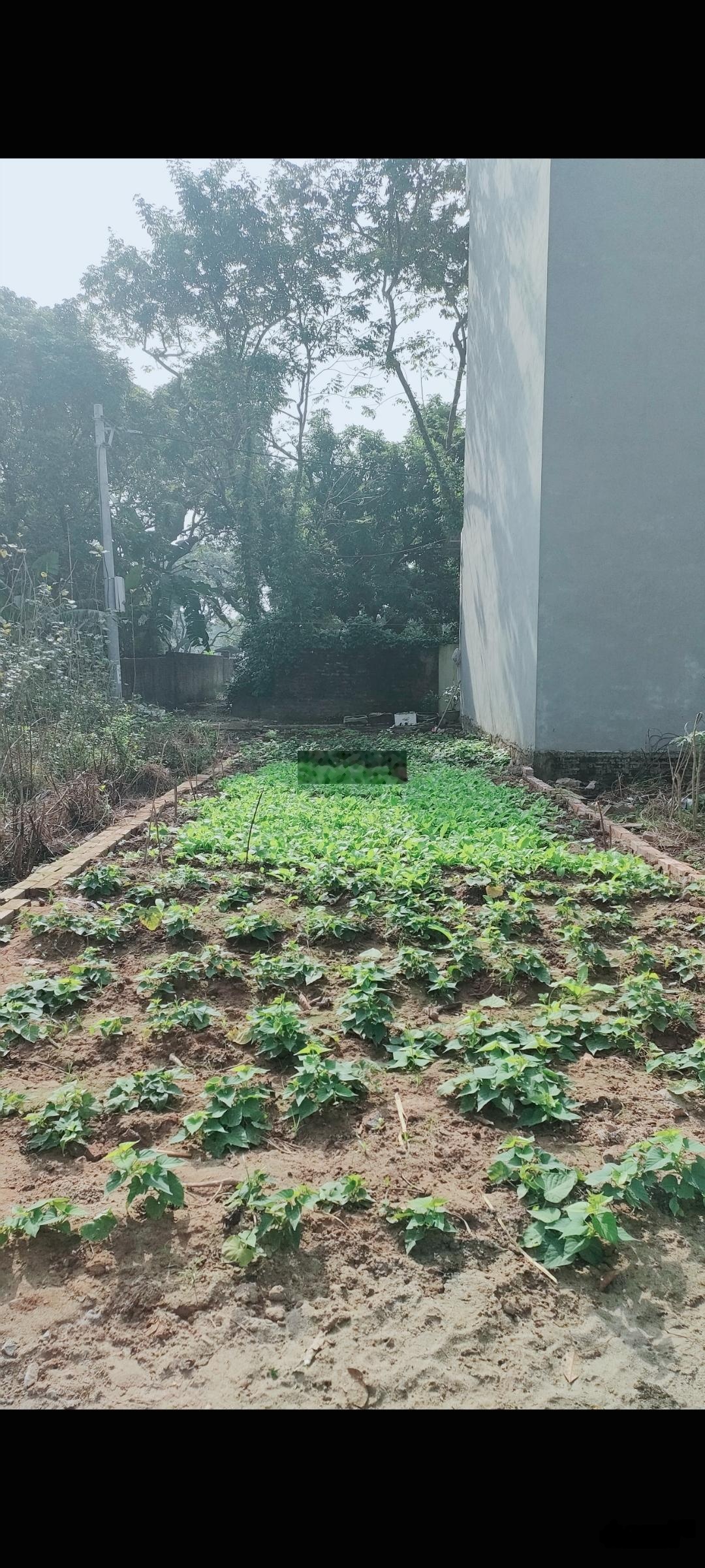 Bán 68m² có 50m² thổ cư oto vào đất xã hưng đạo đại thành quốc oai hà nội