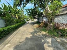 Chính chủ bán nhanh lô đất mặt đường Thuần Lộc, Hậu Lộc