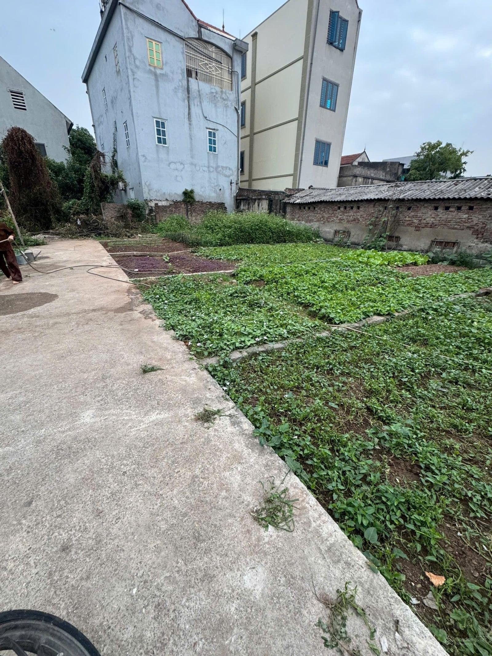 Chính chủ cần tiền bán gấp đất gần nút giao cao tốc Thường Tín giá mềm