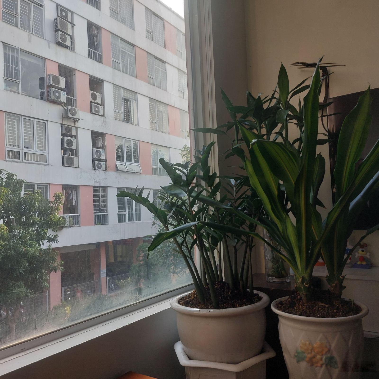 Cần bán nhanh căn góc chung cư 70m 3ngủ 2WC tầng cao hướng mát view đẹp KĐT Đặng Xá-Gia Lâm Hà Nội