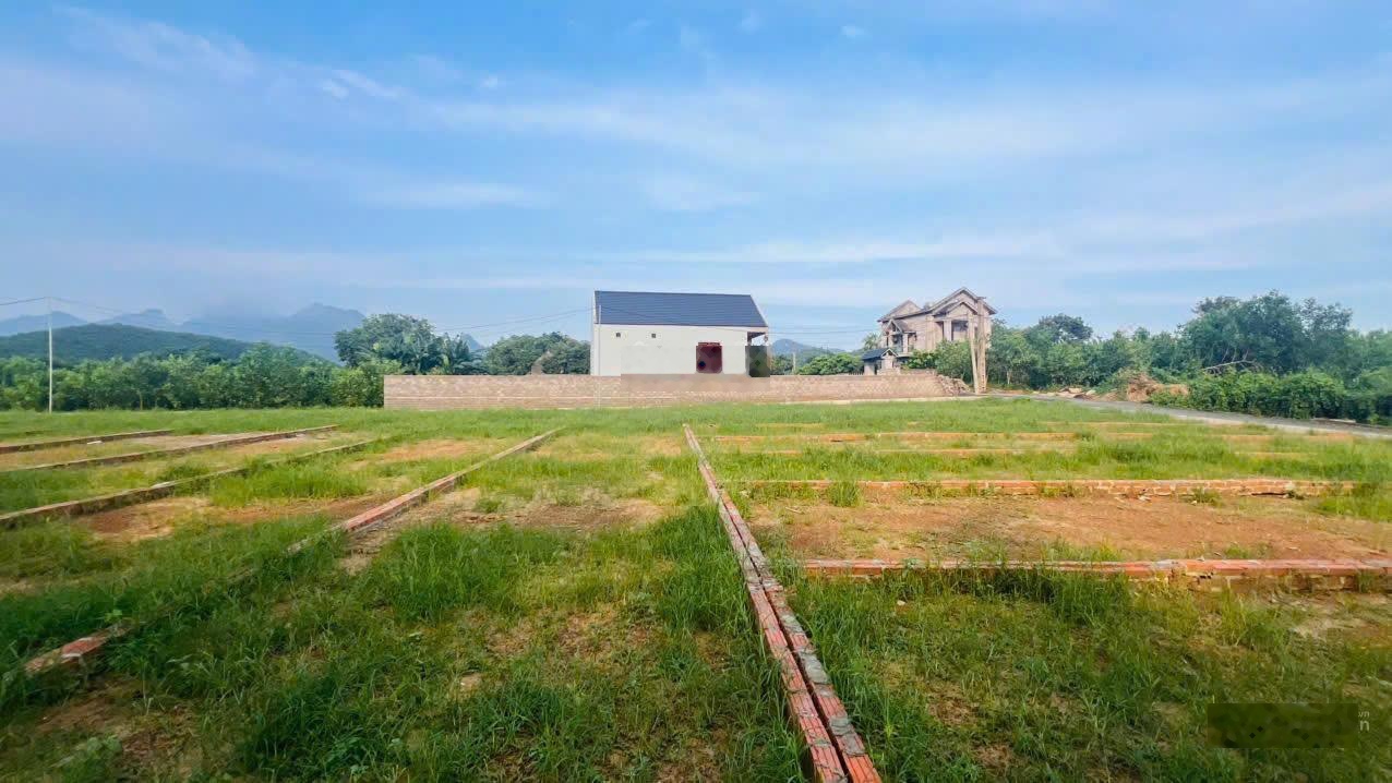 Mở bán giá sốc đất trung tâm An Bình, Lạc Thủy, chỉ 195 triệu/lô